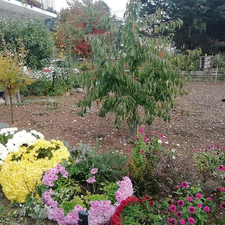 La Nuova Dimora B&B-3